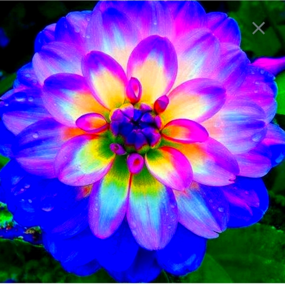 All that is interesting!